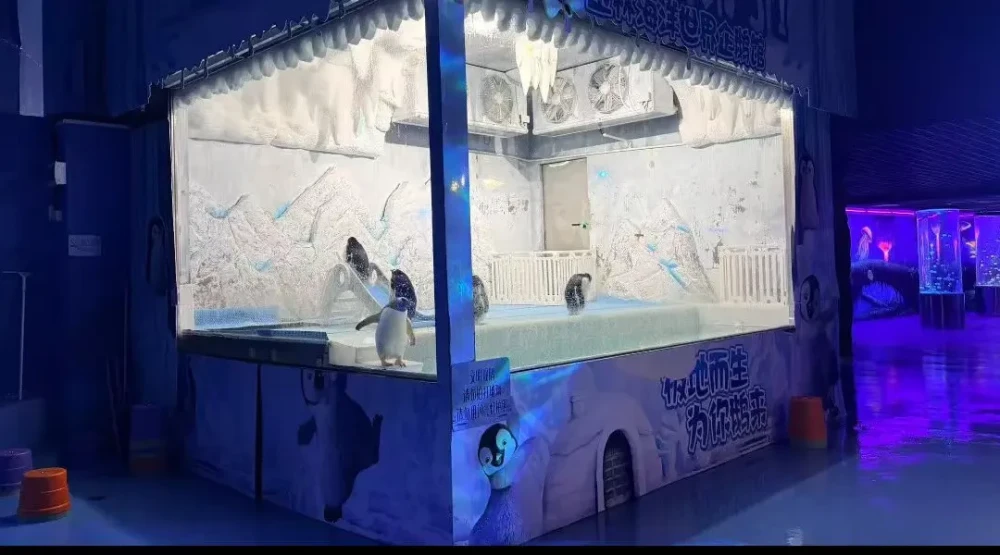 Engineering Case Making Price 100 Tons Flake Ice Machine